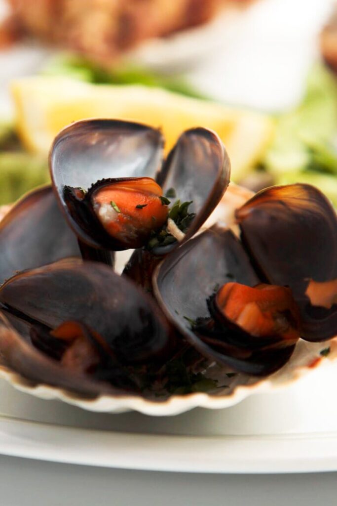 cozze