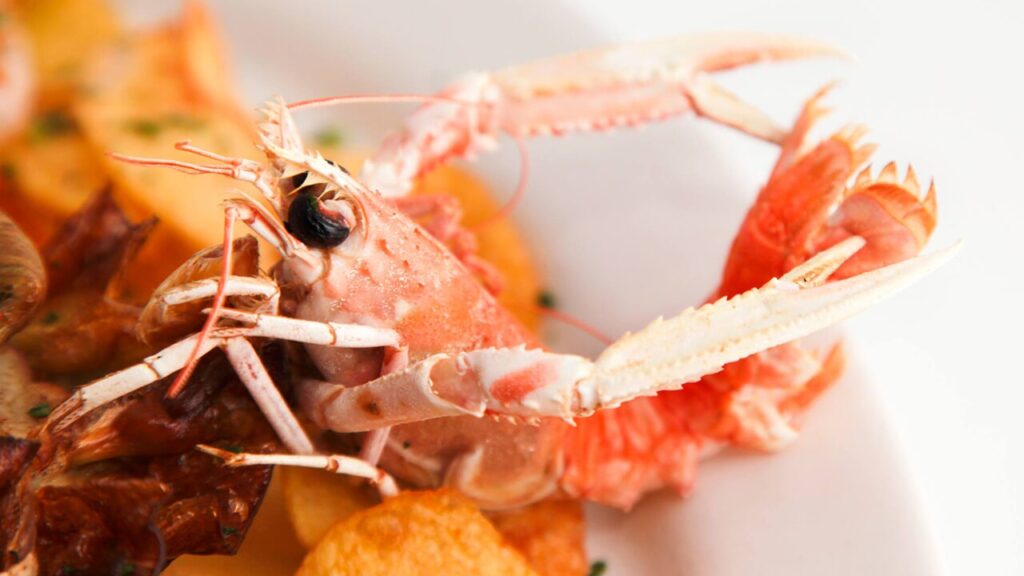 crostacei